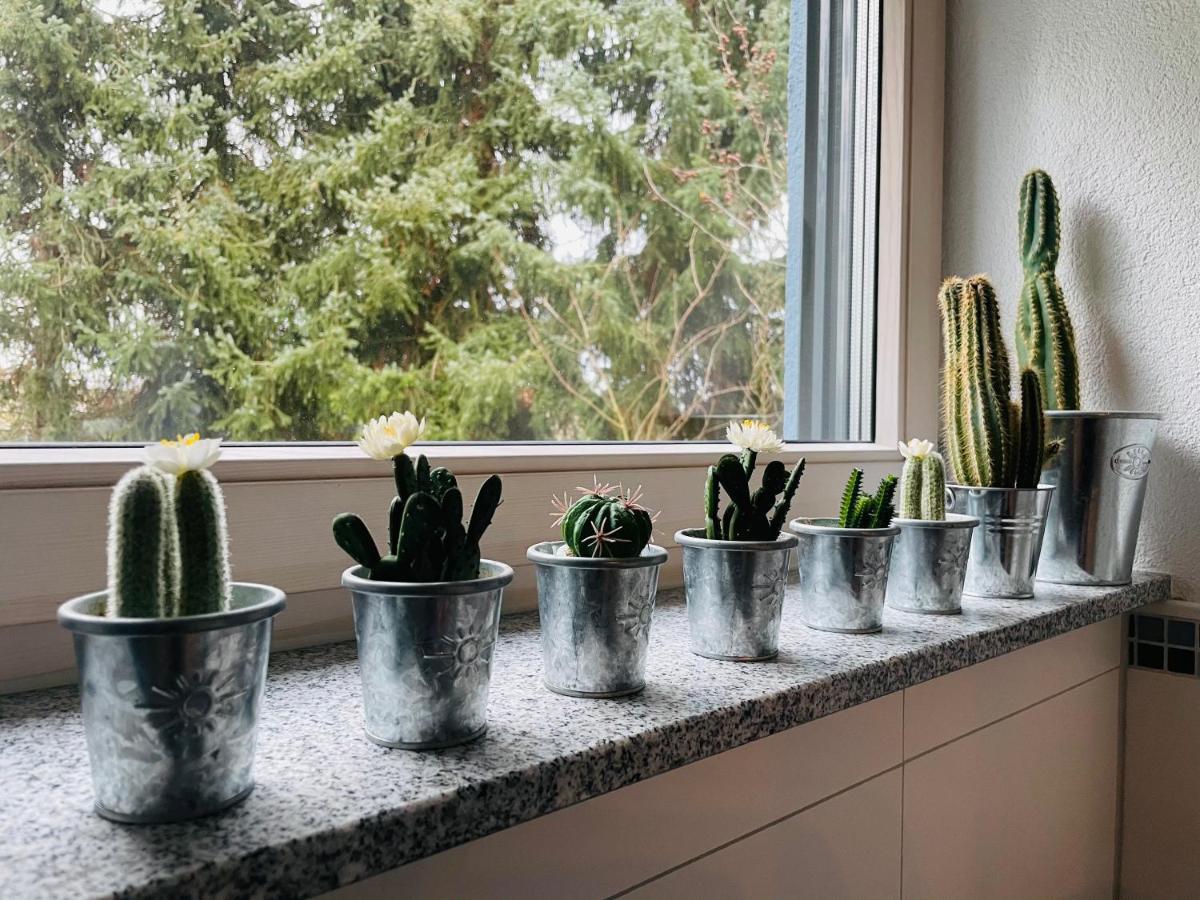 Limes -übernachten Am Limes- Apartment Rainau